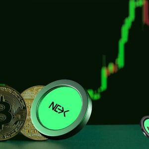 DOGE Plummets Amid Market Volatility As Nexchain Smashes Past $3.7M in Presale