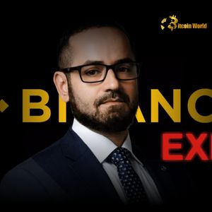Turbulent Exit: Binance Compliance Chief Tigran Gambaryan Departs After Nigerian Ordeal