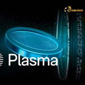 Plasma Stablecoin Achieves Stunning $500M Crypto Fundraising Milestone in Minutes