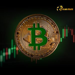Bitcoin Long-Term Holders Signal Unwavering Confidence as Supply Hits Record Peak