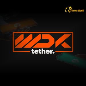 Tether WDKv2 Unveiled: Empowering Self-Custodial Wallet Development