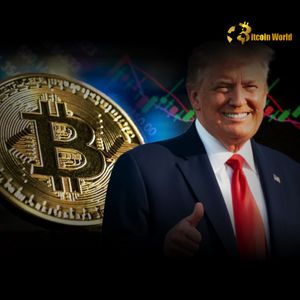 Urgent: Trump Organization’s Campaign Anniversary Announcement Sparks Trump Crypto Speculation