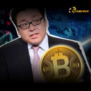 Semler Scientific: Why Tom Lee Sees Unexpected Opportunity in This Bitcoin Treasury Stock’s Deep NAV Discount