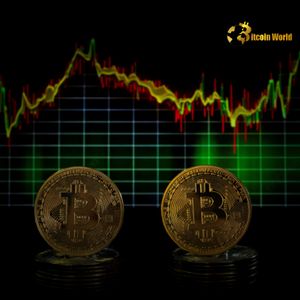 Bitcoin Institutional Adoption: Massive Shift Sees Nearly One-Third of Supply Centralized