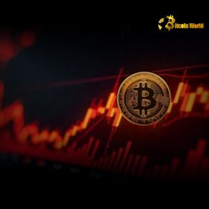 Bitcoin Price Plunge: What the BTC Drop Below $107,000 Means