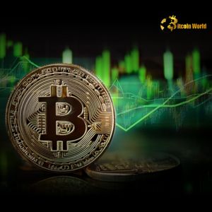 Unlocking Bullish Signals: Bitcoin Permanent Holder Demand Surges