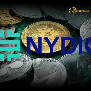 Bitcoin vs Altcoins: NYDIG Executive Issues Crucial Warning on Corporate Crypto Holdings