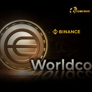 Massive Worldcoin WLD Withdrawal Shakes Binance