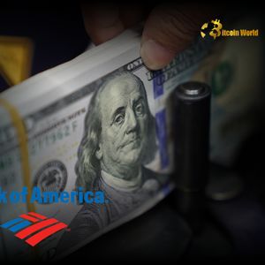 US Dollar: BofA Issues Critical Warning on Extreme Bearishness