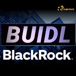 BlackRock BUIDL Tokenization: A Strategic Boost for Crypto Collateral Adoption