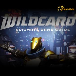 Web3 Gaming: Strategic $9M Crypto Funding Ignites Wildcard Blockchain Game Launch