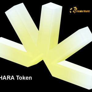 Sahara AI Unleashes SAHARA Token: A Promising Leap for Decentralized AI