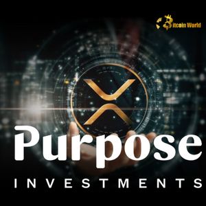 XRP ETF Opportunity: Purpose Investments Offers Exclusive Management Fee Waiver