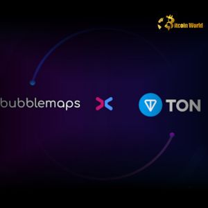 Exciting: Bubblemaps Unveils Support for TON Blockchain, Boosting Transparency