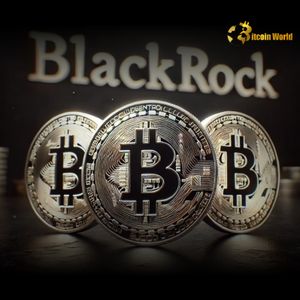 BlackRock Bitcoin ETF Reaches Massive 3% of Total Supply