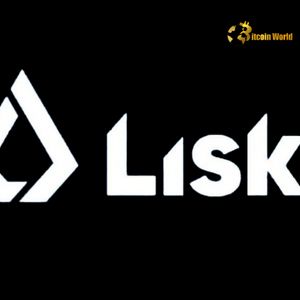 Lisk DAO Votes on Monumental 100M LSK Token Burn: A Key Decision for Lisk Crypto