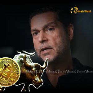 Raoul Pal Unveils Astonishing Crypto Bull Run Prediction Extending to 2026