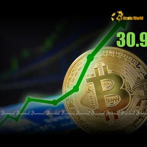Unlocking Growth: Bitcoin’s Remarkable Surge in Investor Portfolios to 30.9%