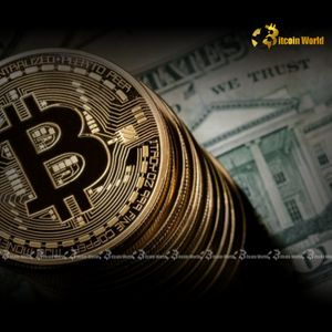 Bitcoin Correlation: Alarming Signals of US Dollar Weakness