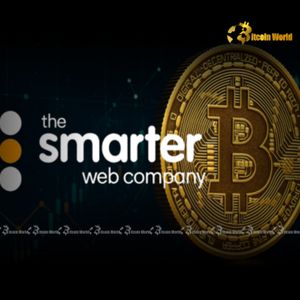 Bitcoin Investment Strategy: The Smarter Web Company Secures Massive Funding for Future Crypto Holdings