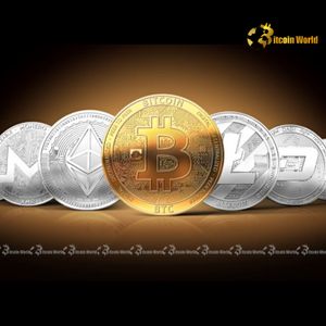 Unveiling Crypto Liquidity: Binance’s Bitcoin Dominance & Bitget’s Altcoin Ascent Revealed