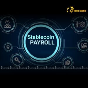 Stablecoin Payroll: Unleashing Global Efficiency for Employers