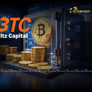 Vaultz Capital’s Strategic Bitcoin Acquisition: Bolstering Digital Assets to 50 BTC
