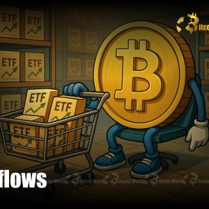 Bitcoin ETFs: Remarkable $102M Inflows Signal Strong Investor Confidence