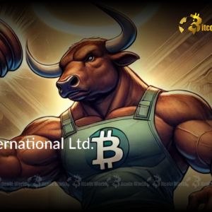 Bitcoin Allocation: Anemoi’s Astounding 40% Reserve Boost Signals Institutional Confidence