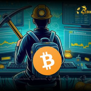 Unveiling Bitcoin Network Volume: Crucial Signals for Future BTC Price Movement