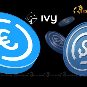 German Fintech Ivy Unleashes Seamless USDC EURC Integration