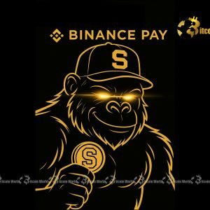 Binance Pay: Revolutionizing Crypto Payments on the French Riviera