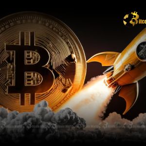 Bitcoin’s Ascendant Trend: CryptoQuant Analysis Points to a Powerful BTC Price Outlook