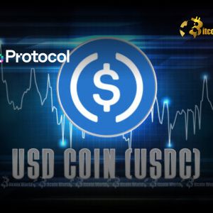 Hippo Protocol’s Pioneering Launch: USDC Stablecoin Arrives on Hippo Chain Testnet