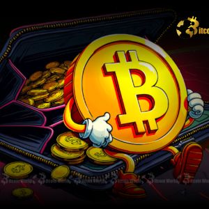 Bitcoin: Unwavering Confidence as Long-Term Holders Command 74% of Circulating Supply