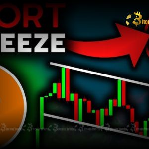 Bitcoin Short Squeeze: The Imminent Danger of Rising Short Positions