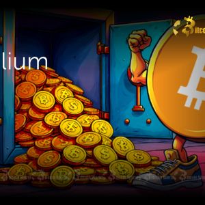 Coinsilium’s Strategic Bitcoin Accumulation: A Bold Move in Digital Assets
