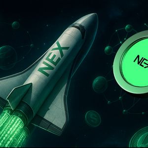 SHIB & DOGE Cool Off as Nexchain and Solaxy Build Real Utility in Presale Phase