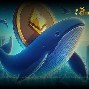 Cumberland Wallet’s Massive $89.45M ETH Withdrawal from Binance: An Intriguing Move