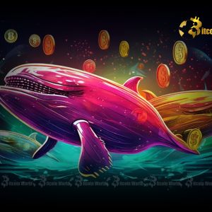Bitcoin Whales Unleash Accumulation: A Critical Divide in Investor Confidence