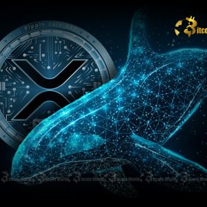XRP Whales Fuel Massive Confidence Surge as Balances Rise