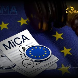Urgent ESMA MiCA Scrutiny Unveils Alarming Malta Crypto Authorization Concerns