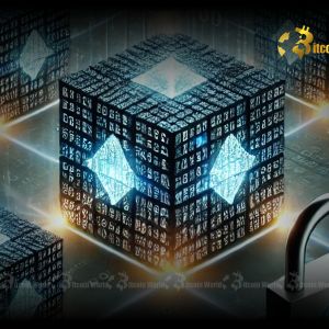 Validium Network’s Revolutionary Leap: Embracing Avail for Enhanced Blockchain Scalability