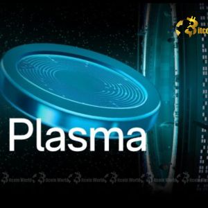 Plasma Stablecoin’s Triumph: Account Restored After X Account Hack