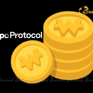 Hippo Protocol’s Crucial KRW Stablecoin Bid Signals Major Korean Market Shift