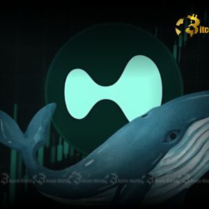 Hyperliquid Whale Unleashes Astounding $475M Bitcoin Position Shift