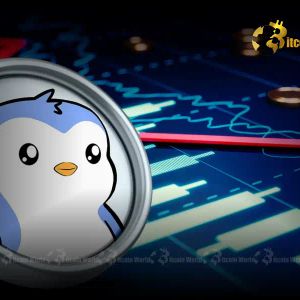 PENGU Token: Unveiling the Crucial $45.56M Deployer Transfers to Crypto Exchanges