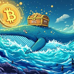 Bitcoin Whale Transfer: Unveiling the Mysterious $496 Million Kraken Move
