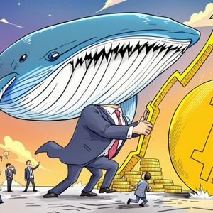 Bitcoin Rally: Unleashing the Unprecedented Power of Institutions and Whales