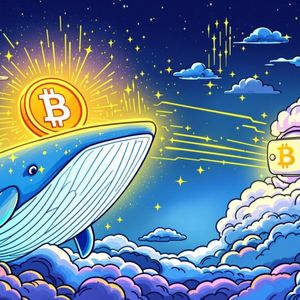 Massive USDC Transfer: Unpacking the $252 Million Binance Whale Move